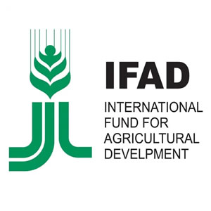 International Federation for Agricultural Development (IFAD)